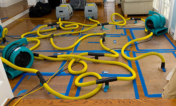 Professional Storm Water Damage Restoration technician working in Hackensack, NJ